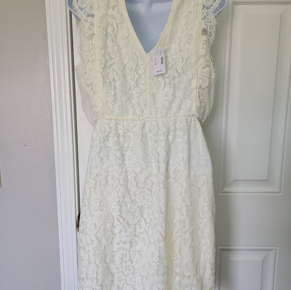 NWT Maurices White Lace Cap Sleeve Lined Mini Dress Bridal Shower Size Small - Picture 6 of 14